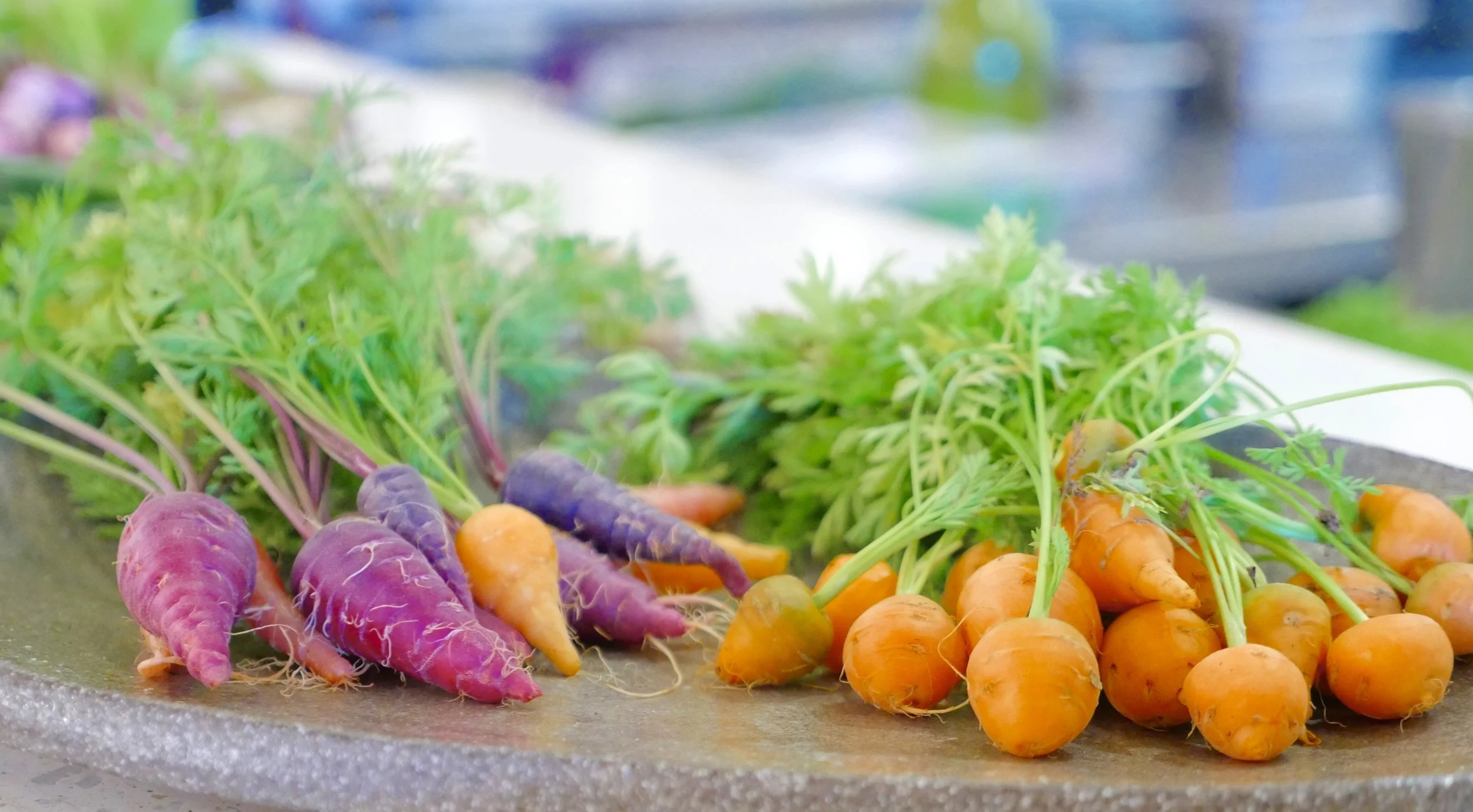 PETITE BOUCHE RAINBOW AND PARIS CARROTS.