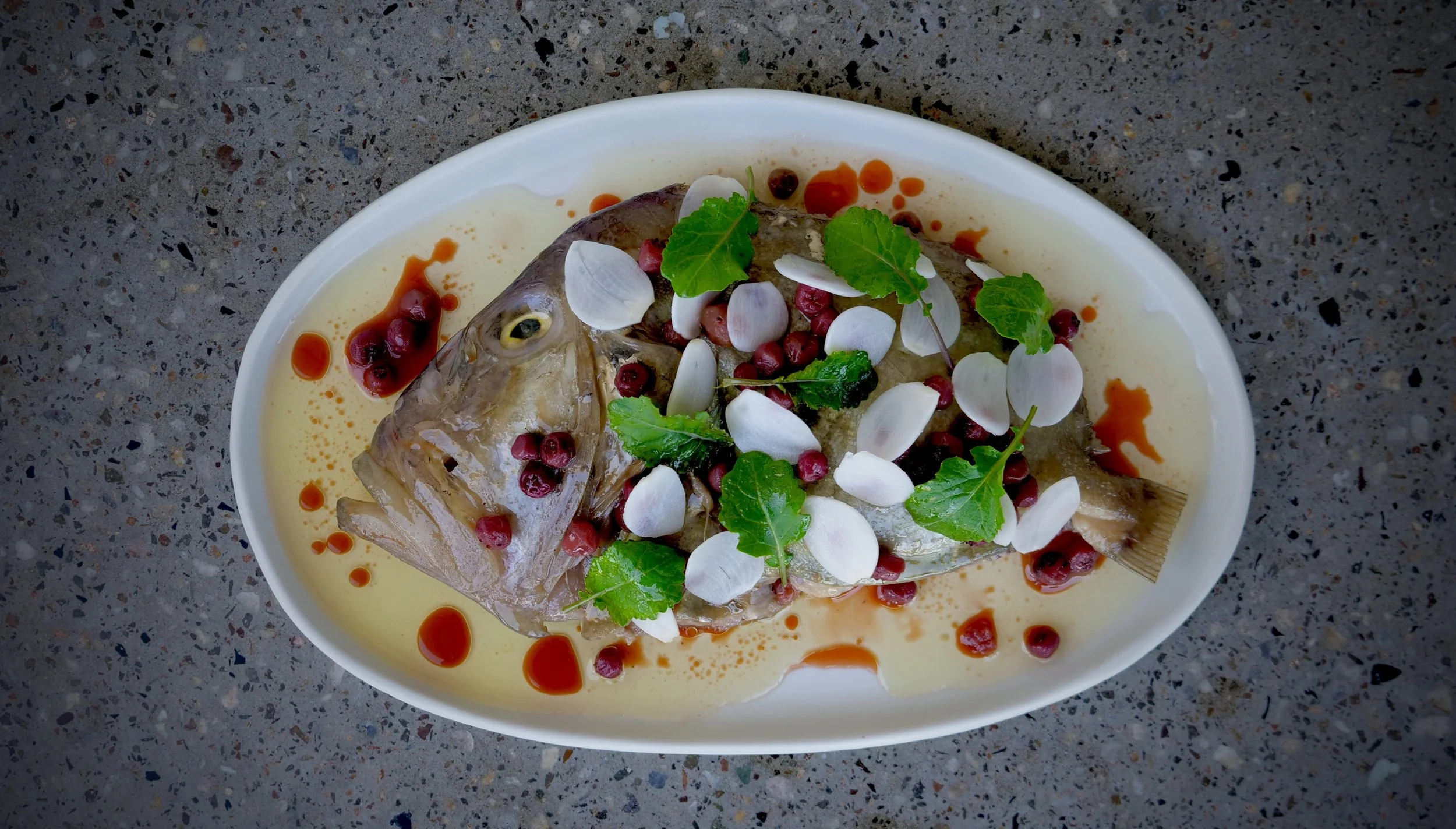 TONY SCHIFILLITI AT CIRRUS DINING