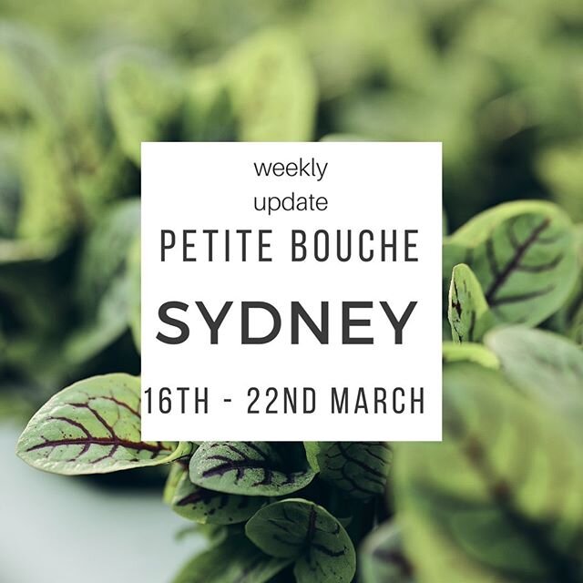 TOP PICKS
Liquorice Herb
Yuuki Mix (Japanese Blend)
Seasonal Mix 100g &amp; 500g
Petite Red &amp; Green Cos
Bronze Fennel
Red Elk
Green Elk
Watercress Tips
Clitoria Flower
Bleeding Garnet
Dandelion
Sheep Sorrel
Elderflower
Salad Burnet
Upland Cress
P