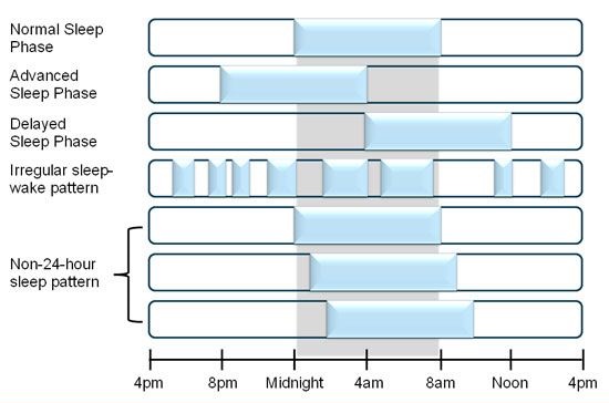 Circadian rhythm sleep disorders arise due to phase shifts in individual circadian clocks.