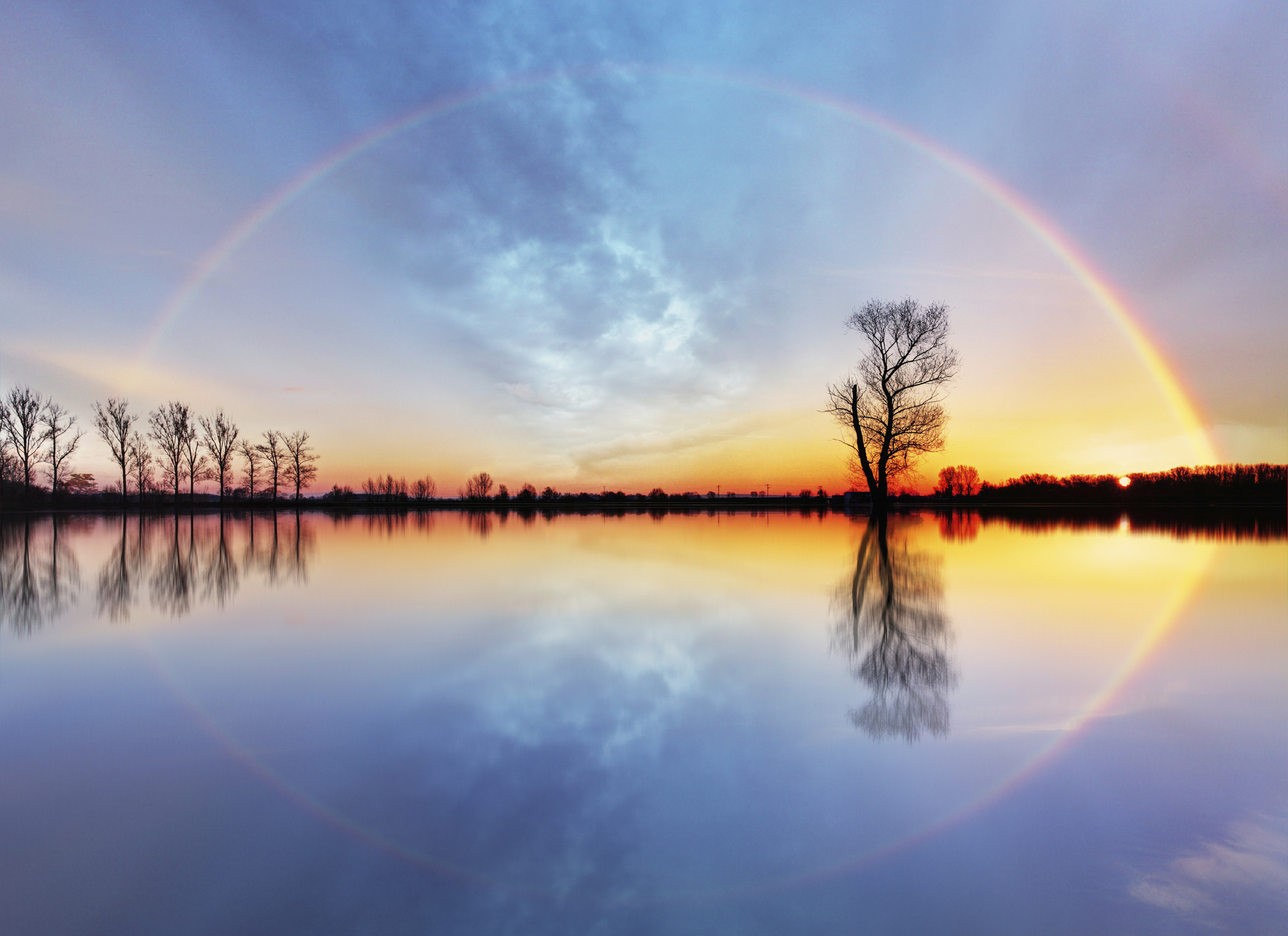 iStock_000079506193_Large.jpg