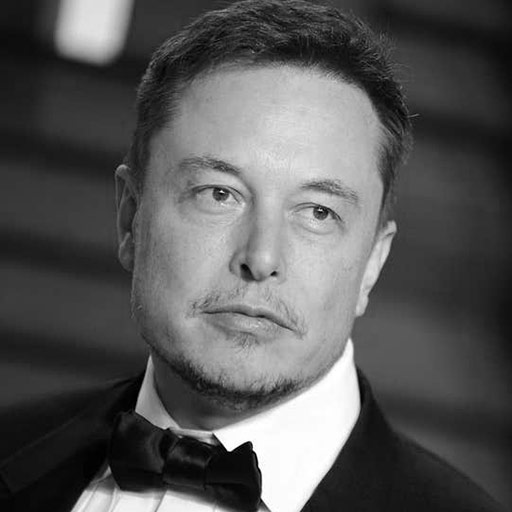 elonmusk1a.jpg