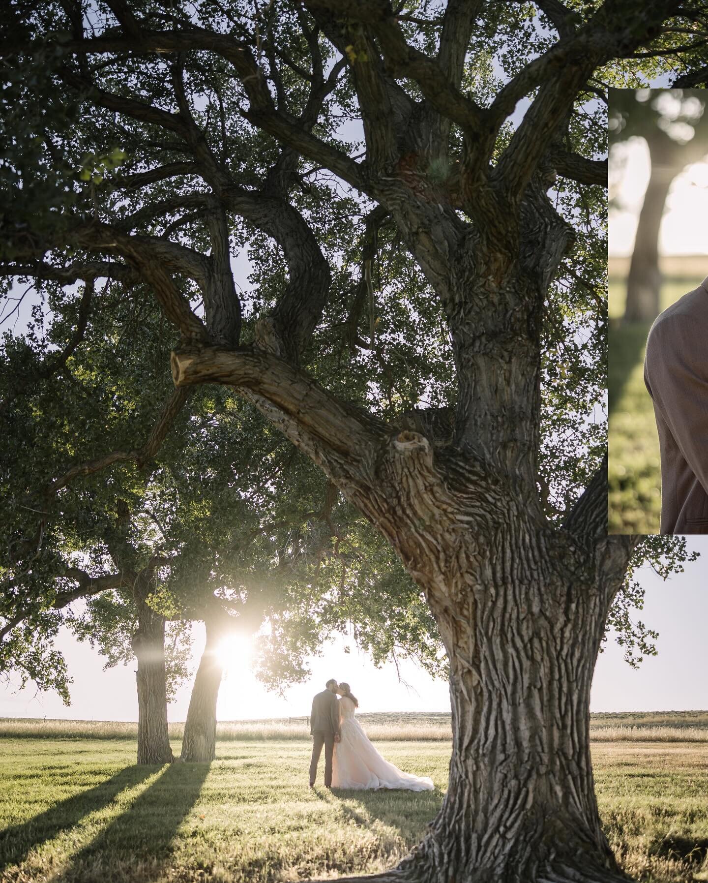 Chasing sunsets and stealing kisses in open fields of green and cottonwood trees. Cheer&rsquo;s to love, laughter, and endless adventures together Nathan and Tayla!

#WeddingPhotography #WeddingDay #BrideandGroom #WeddingGoals #BridalPortraits #Groom