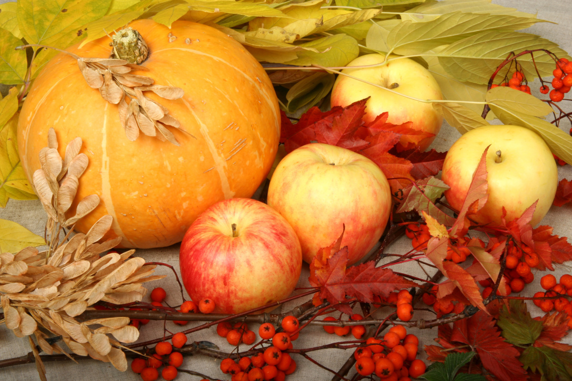 autumn pumpkin and apples.png