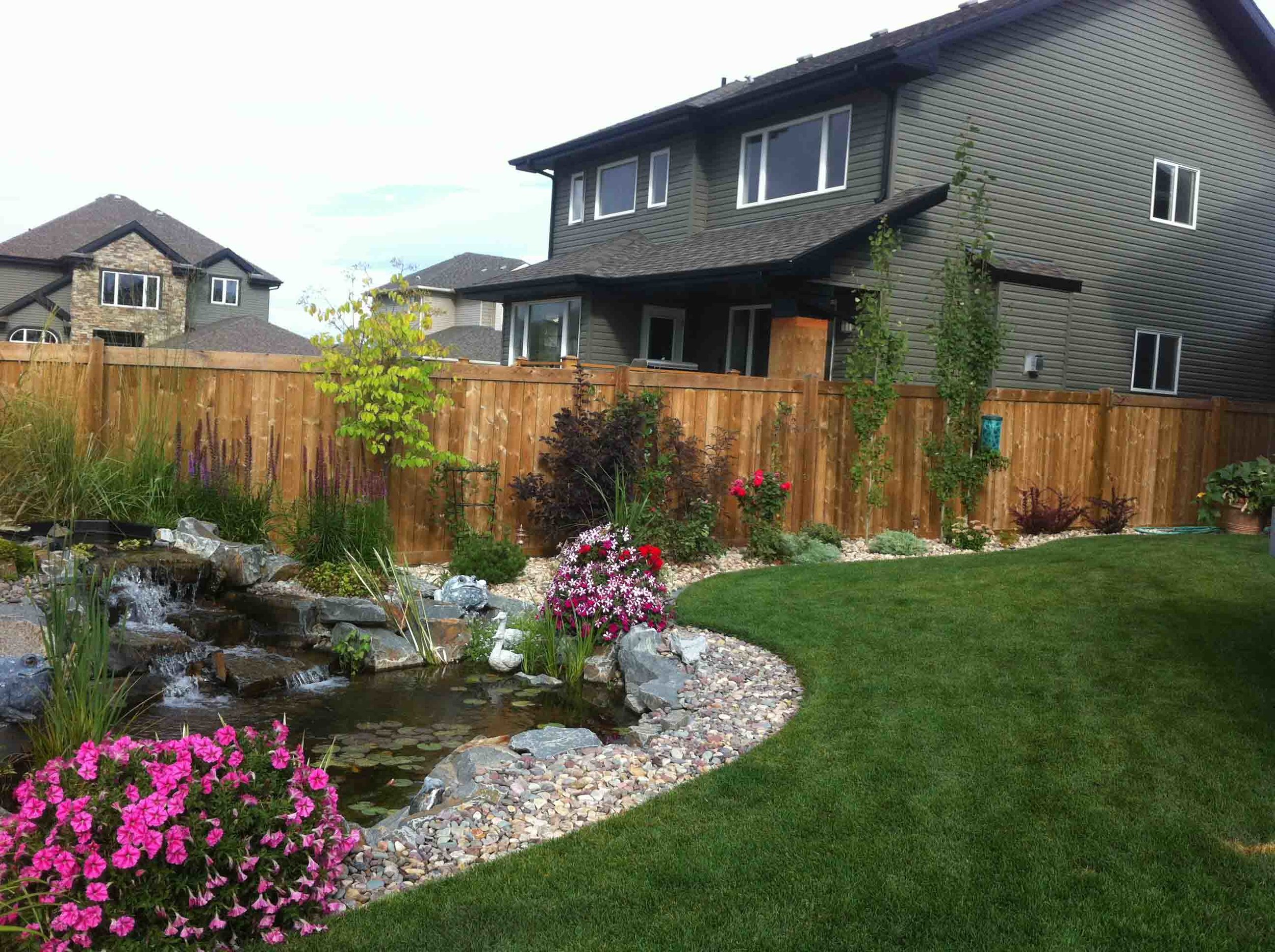 Backyard Garden Pond Design (Copy)