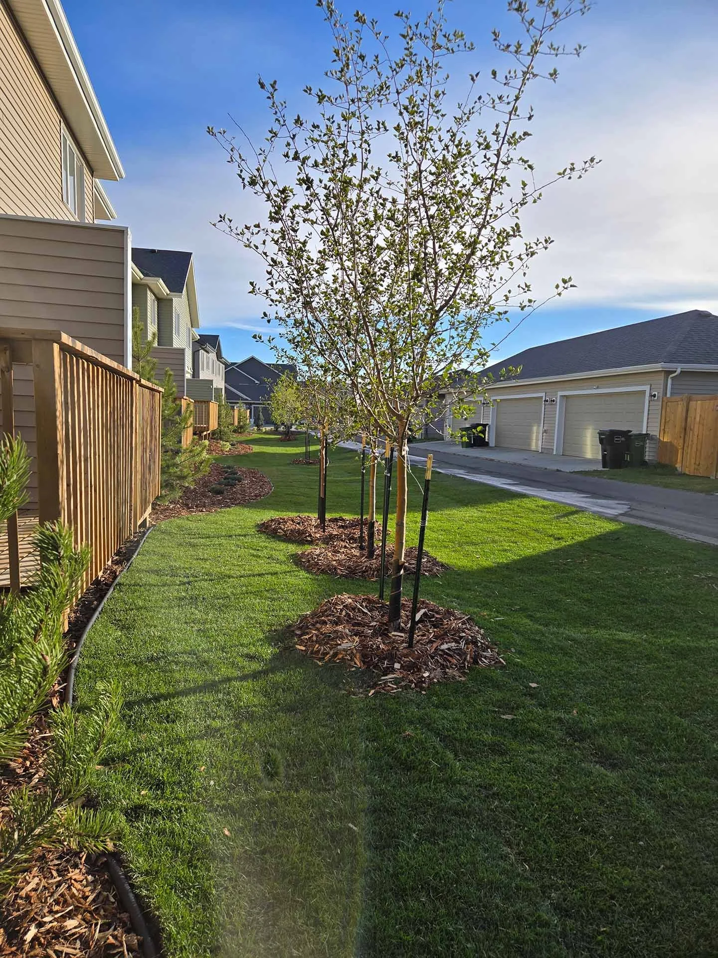Multifamily sod installation for builders and developers in Edmonton area