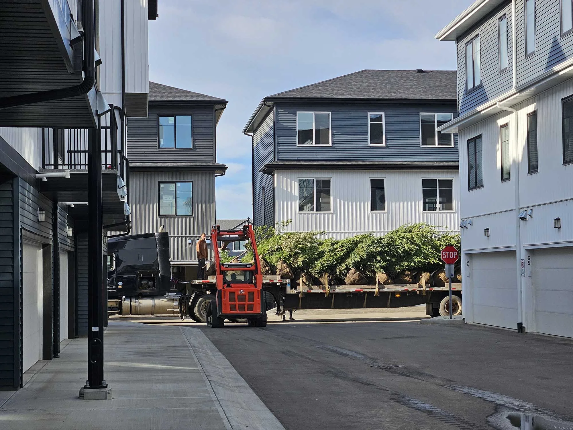 unloading basket trees for multi family project in Edmonton