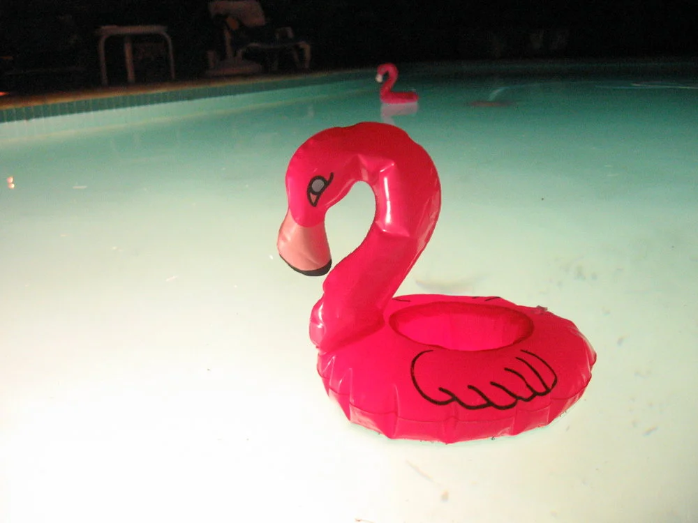 019flamingo.JPG