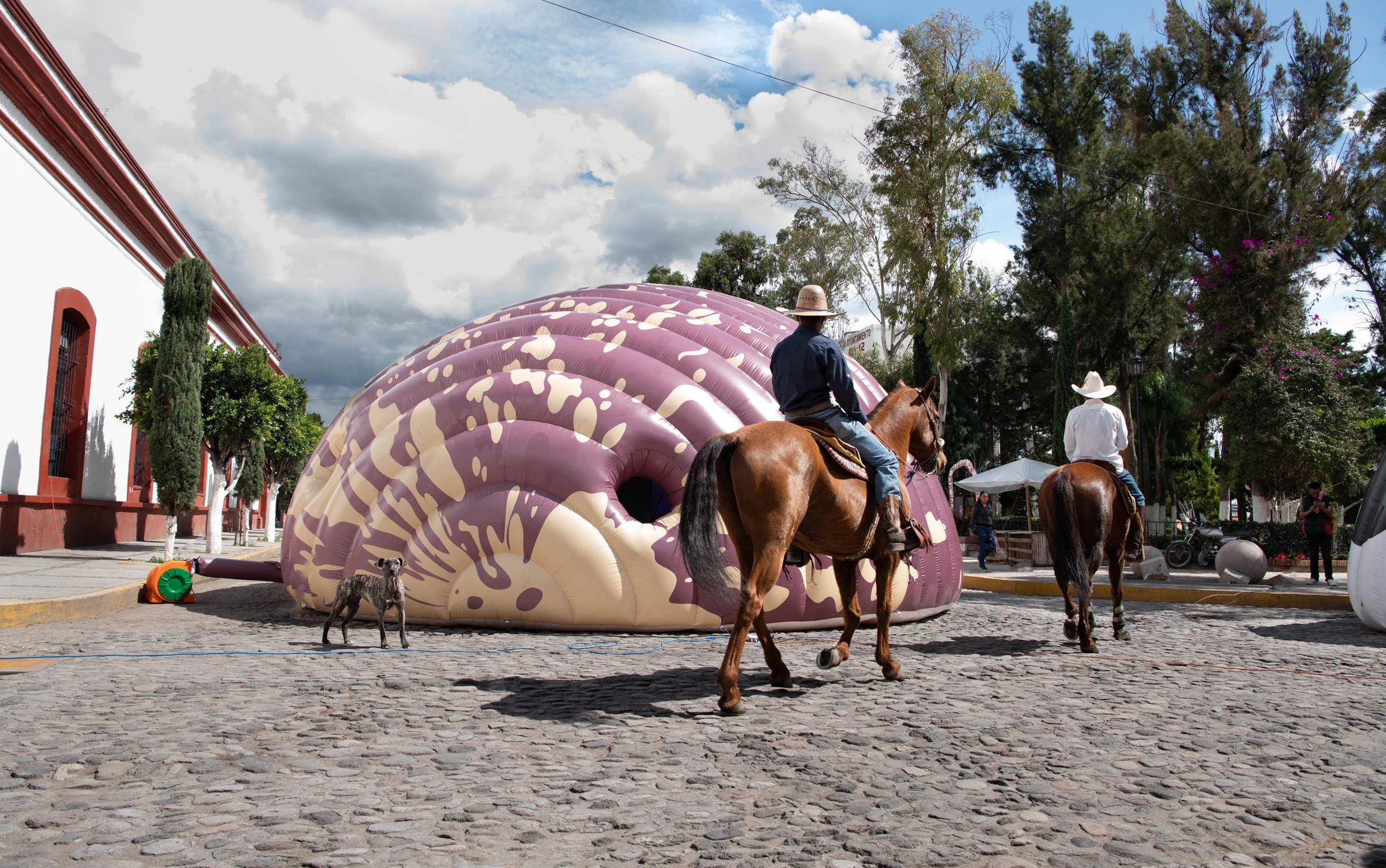 maj-lindstrim-photo-inflatable-beans-norberto-miranda-exhibition-mexico_dezeen_2364_col_10.jpg