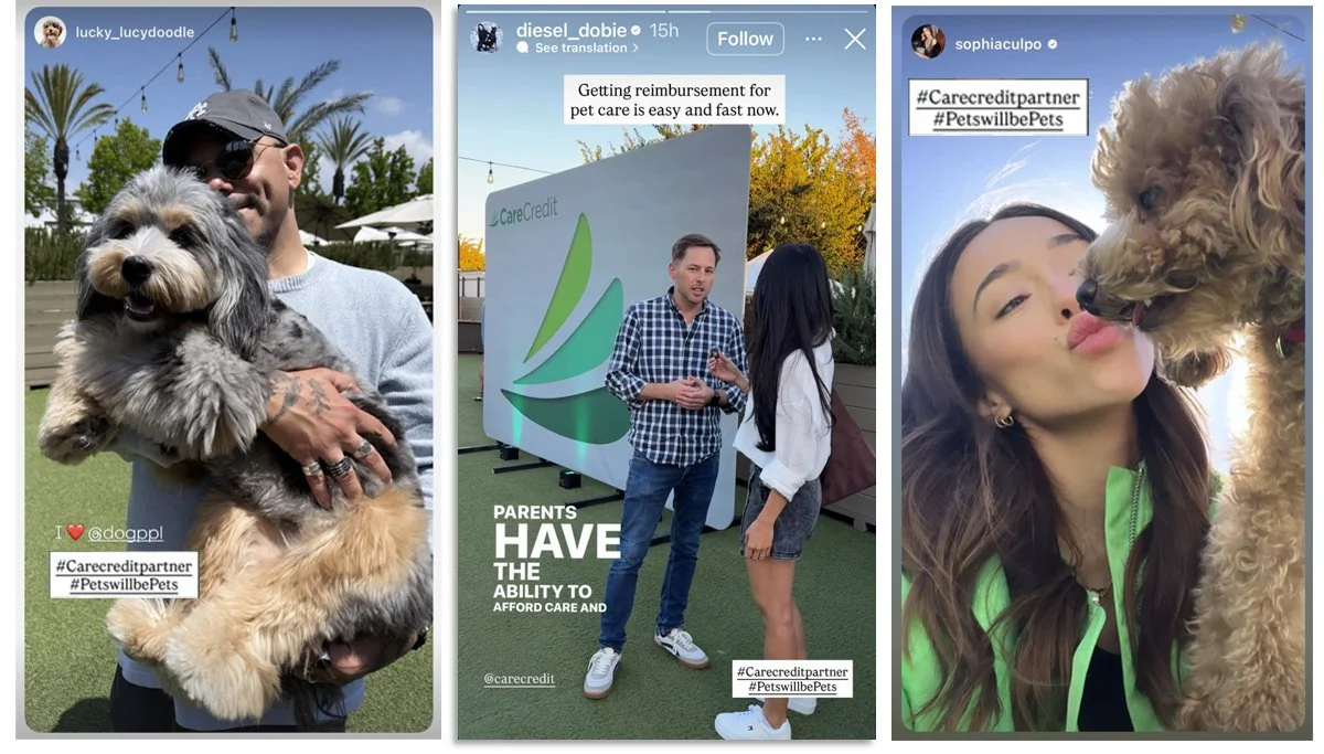 petfestinfluencerposts.jpg