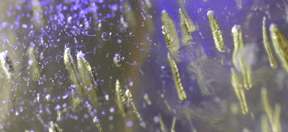 ice_vortices_vertical.jpg