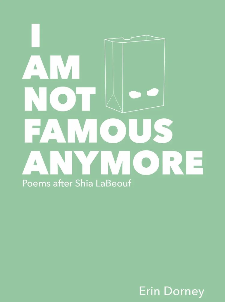 Book+Cover+for+I+Am+Not+Famous+Anymore+by+Erin+Dorney+from+Mason+Jar+Press.jpg