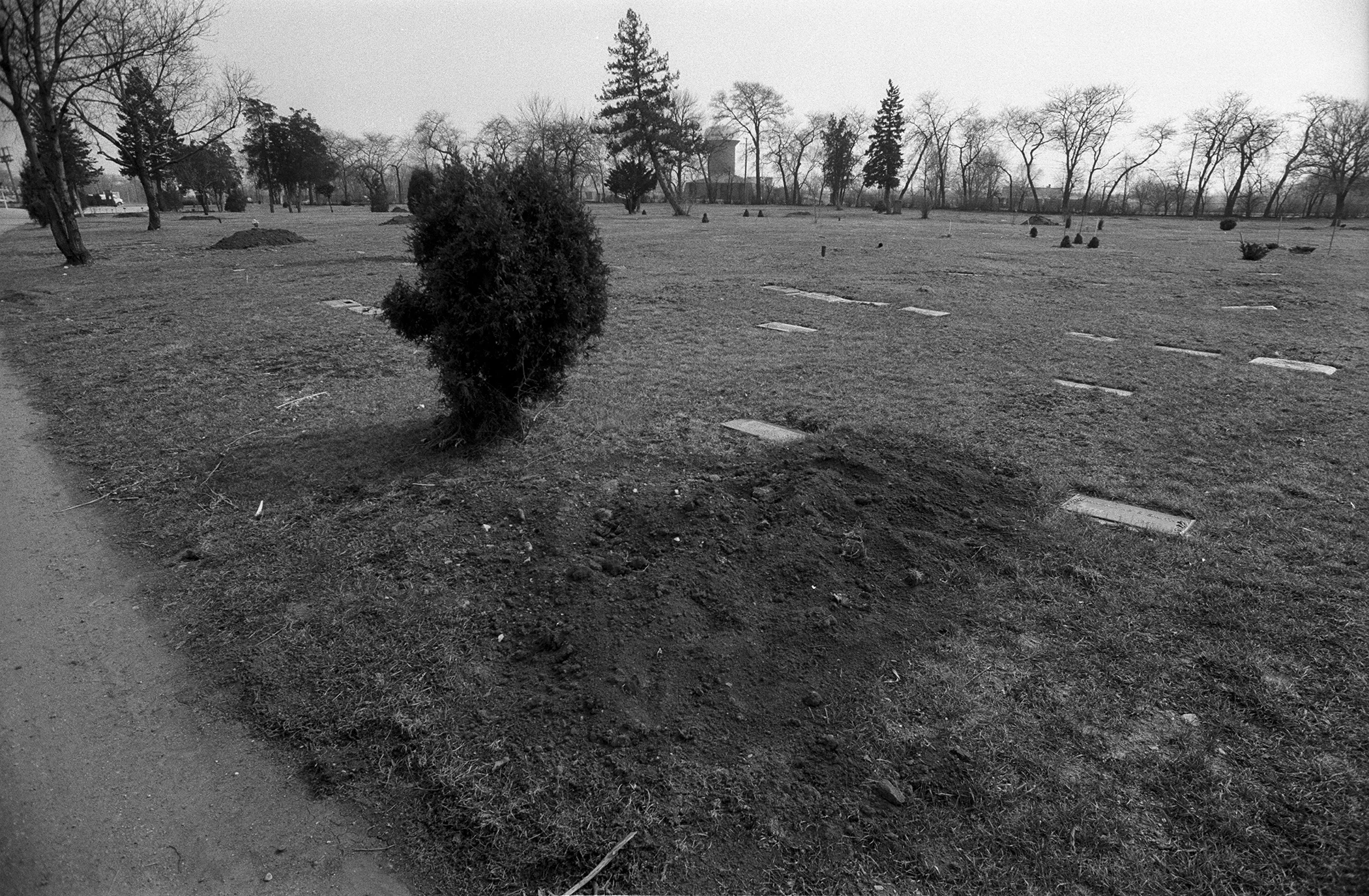Willie Dixon - grave site, Chicago, Illinois 1991
