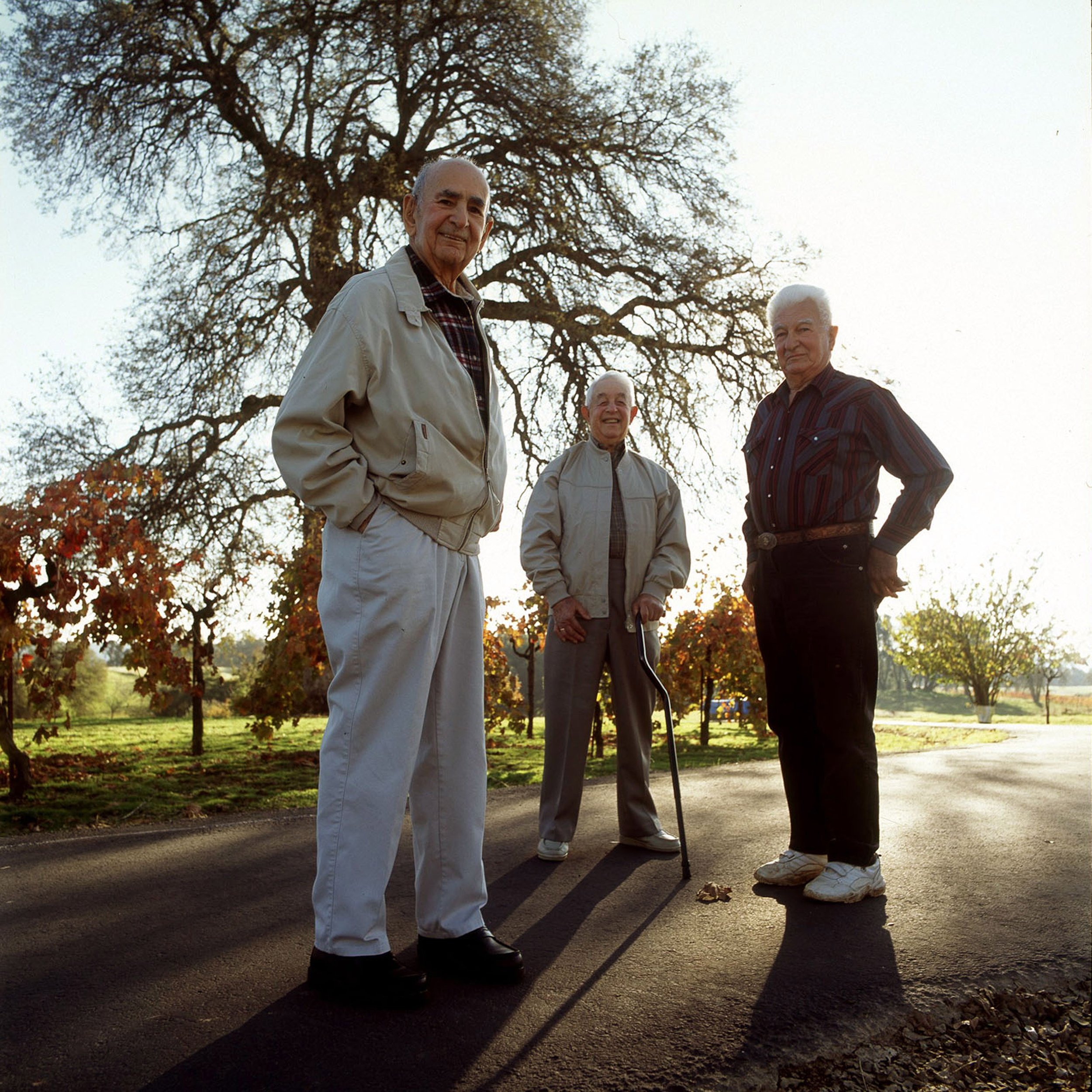  (L-R) Tulio, Michele, and Armenio D'Agostini were born and raised in Plymouth, California. The family owned and ran the D'Agostini Winery until it was sold in 1985. 