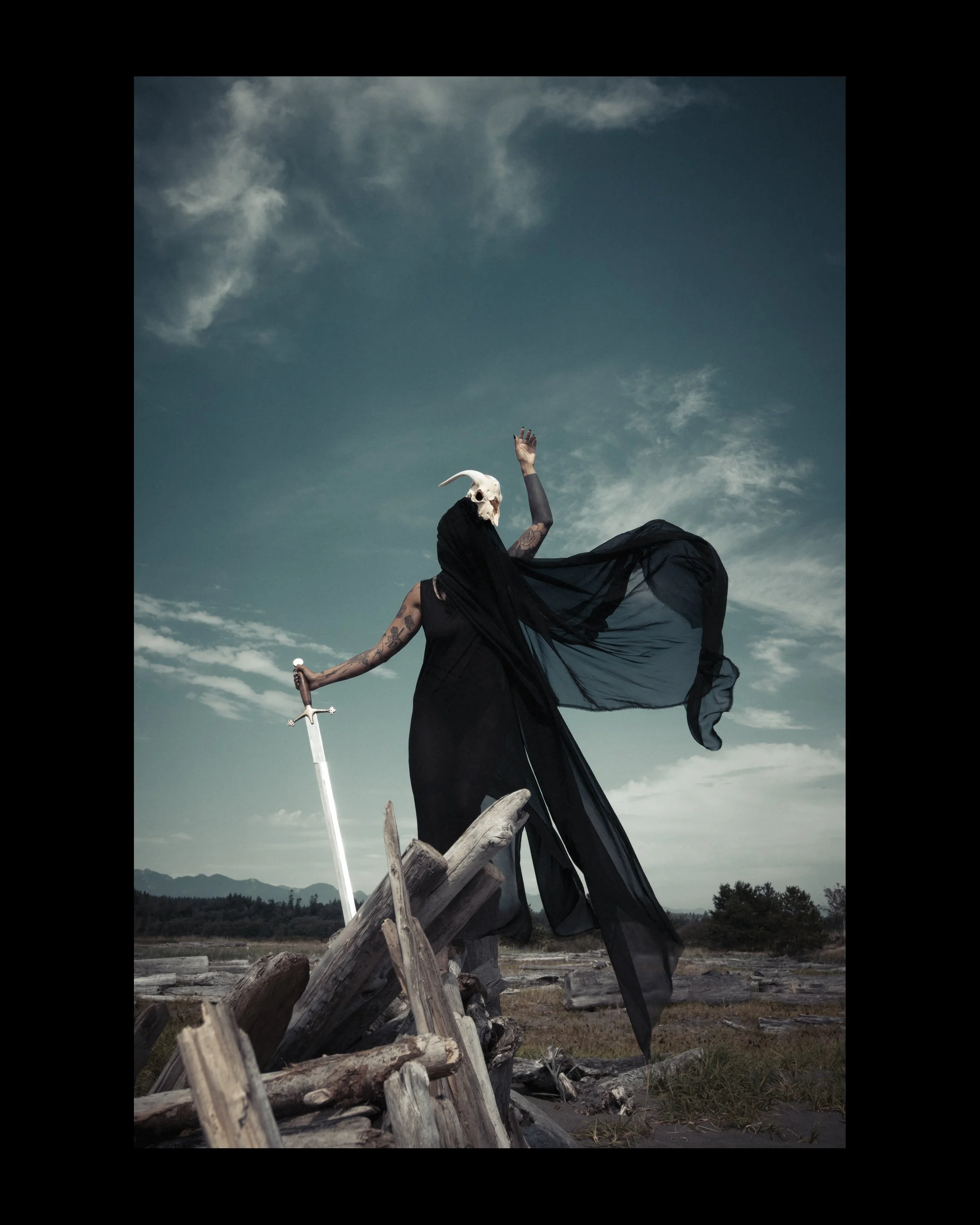 8x10 umtamed sword.jpg