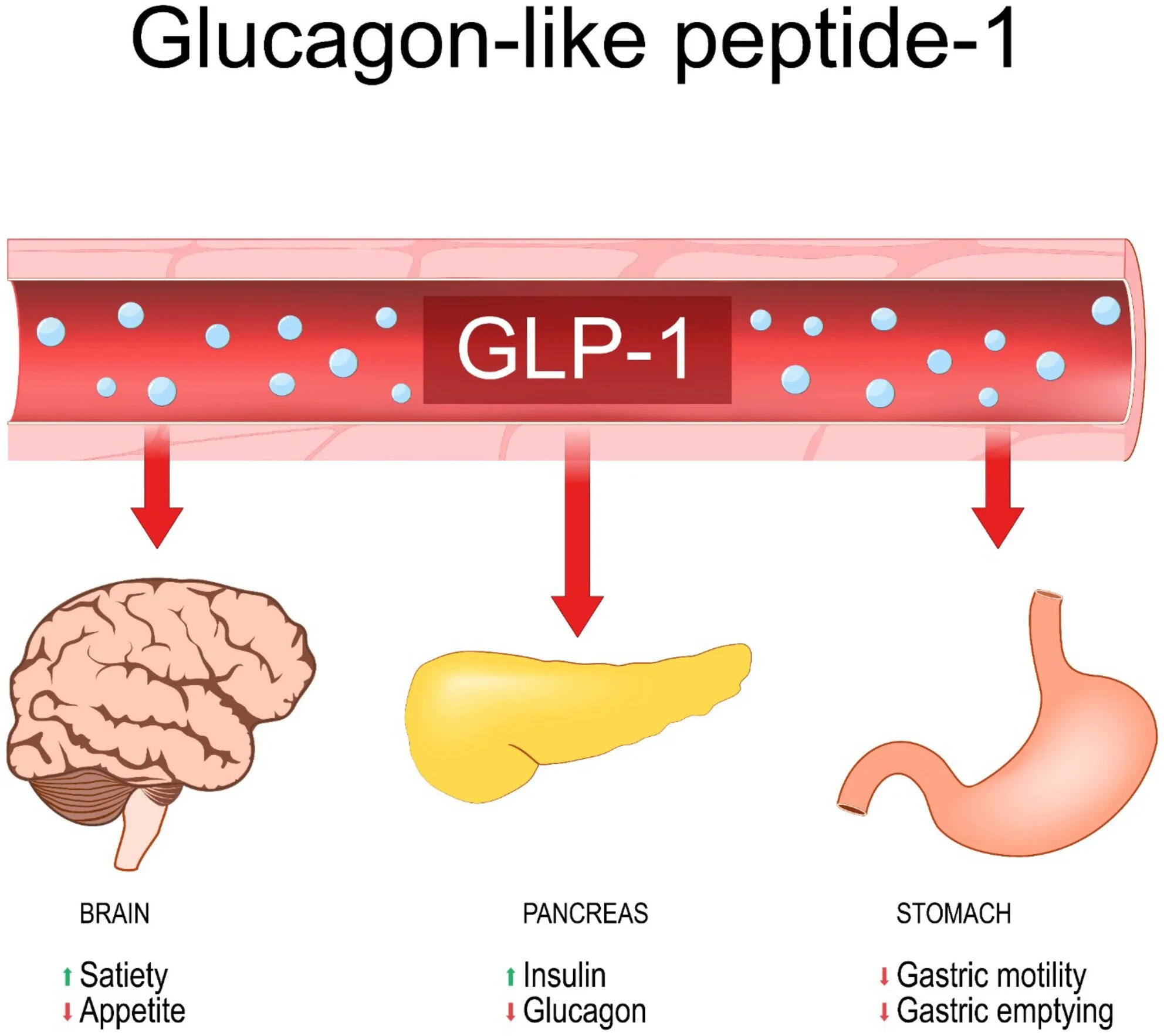 November 18th - November 24th on BariAftercare