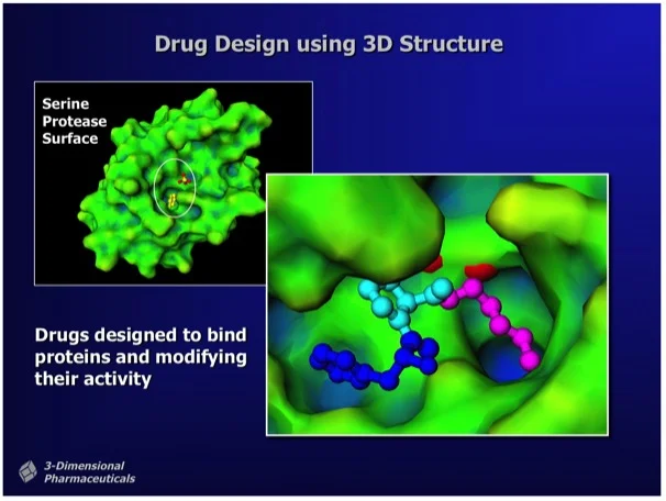 Figure 1.&nbsp; "Structure-Based Drug Design uses the 3D structure of a drug lead bound to a target protein as a direct means to visualize drug-protein interactions and to determine chemical modifications that can improve potency."&nbsp;Ray Salemme'…