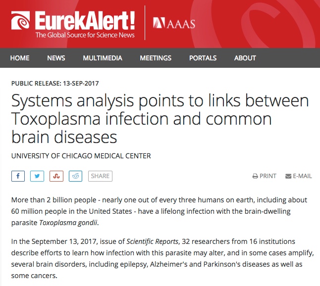 EurekAlert, Toxoplasma