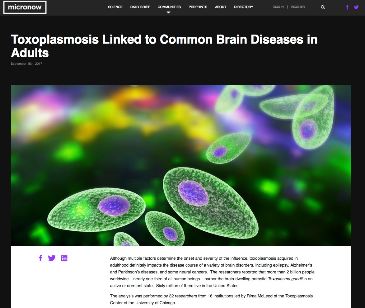  Micronow, Toxoplasma