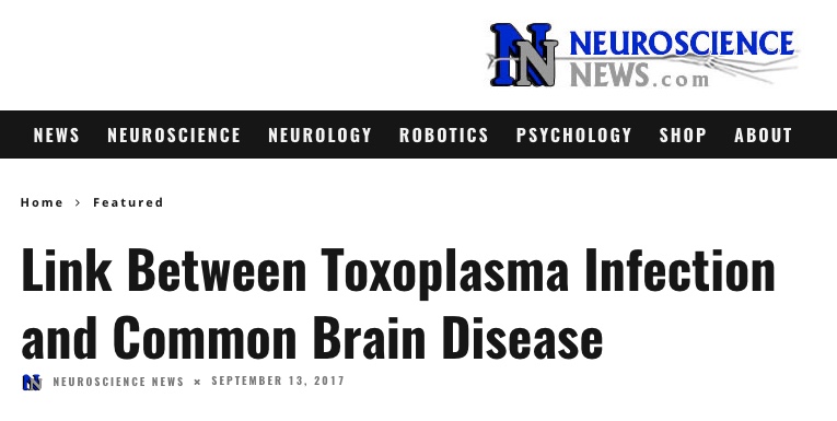 Neuroscience News, Toxoplasma