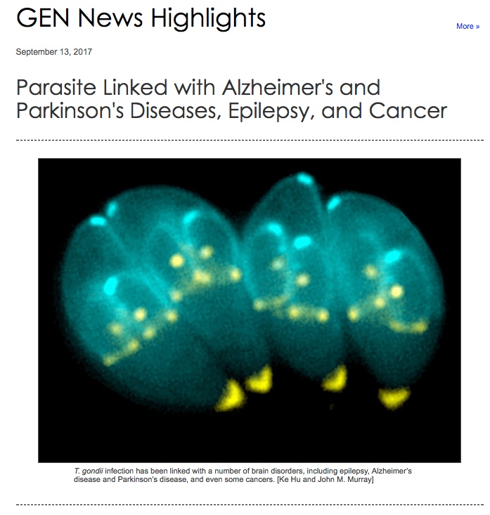 Genetic Engineering & Biotechnology News, Toxoplasma