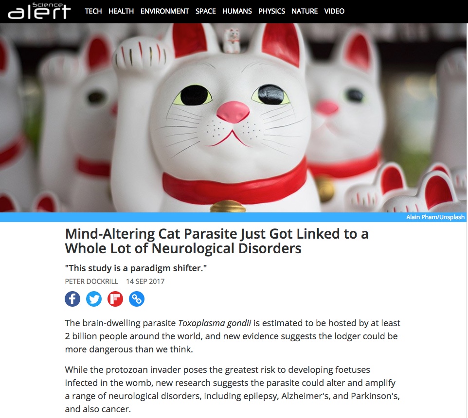 ScienceAlert, Toxoplasma