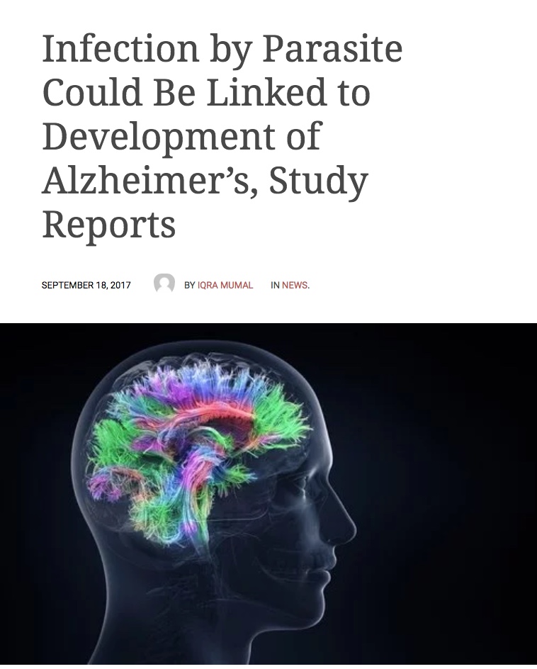 Alzheimer's News Today, Toxoplasma