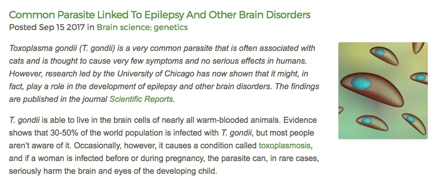Epilepsy Research, Toxoplasma