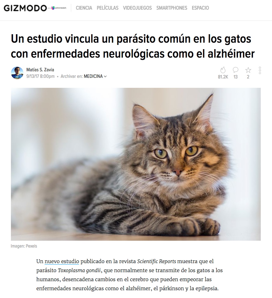 ES.Gizmodo, Toxoplasma