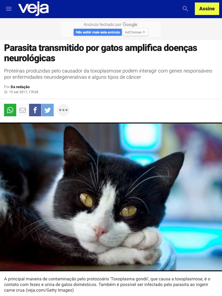 Veja, Toxoplasma