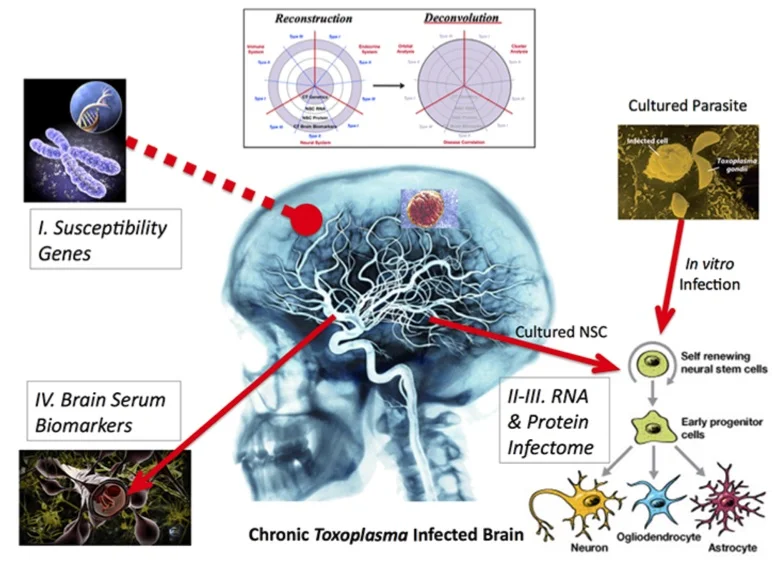 &nbsp; Normal.dotm
&nbsp; 0
&nbsp; 0
&nbsp; 1
&nbsp; 56
&nbsp; 320
&nbsp; Northwestern University
&nbsp; 2
&nbsp; 1
&nbsp; 392
&nbsp; 12.0
 
 
&nbsp; 
 

 
&nbsp; 0
&nbsp; false
&nbsp; 
&nbsp; 
&nbsp; 18 pt
&nbsp; 18 pt
&nbsp; 0
&nbsp; 0
&nbsp; 
…