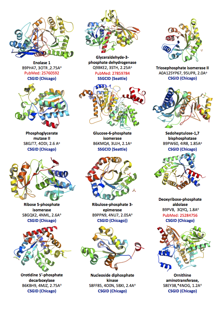 &nbsp; Normal.dotm
&nbsp; 0
&nbsp; 0
&nbsp; 1
&nbsp; 31
&nbsp; 178
&nbsp; Northwestern University
&nbsp; 1
&nbsp; 1
&nbsp; 218
&nbsp; 12.0
 
 
&nbsp; 
 

 
&nbsp; 0
&nbsp; false
&nbsp; 
&nbsp; 
&nbsp; 18 pt
&nbsp; 18 pt
&nbsp; 0
&nbsp; 0
&nbsp; 
…