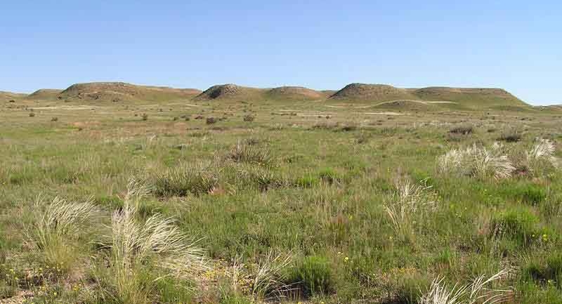 Prairie land of the Midwest.