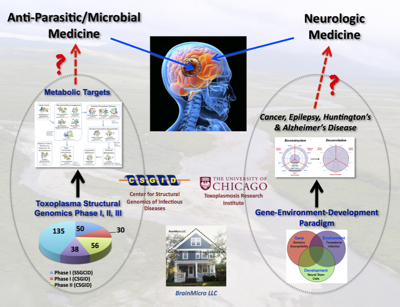 &nbsp; Normal.dotm
&nbsp; 0
&nbsp; 0
&nbsp; 1
&nbsp; 29
&nbsp; 168
&nbsp; Northwestern University
&nbsp; 1
&nbsp; 1
&nbsp; 206
&nbsp; 12.0
 
 
&nbsp; 
 

 
&nbsp; 0
&nbsp; false
&nbsp; 
&nbsp; 
&nbsp; 18 pt
&nbsp; 18 pt
&nbsp; 0
&nbsp; 0
&nbsp; 
…