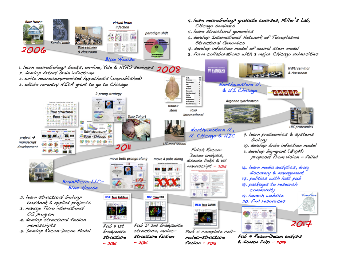 Visual map of my unconventional research path in Toxoplasma brain parasitism