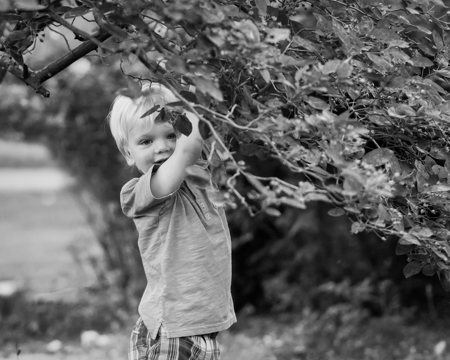 ErielleBakkumPhotography_Nicholspark_26.jpg
