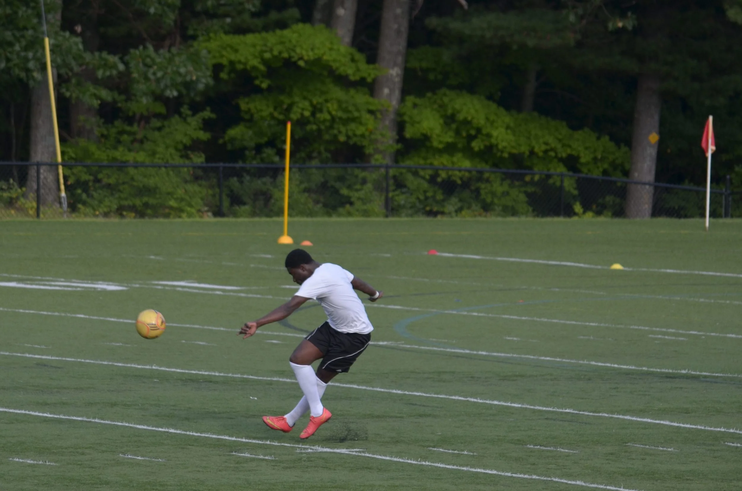 DSC_0046.JPG take 18.JPG