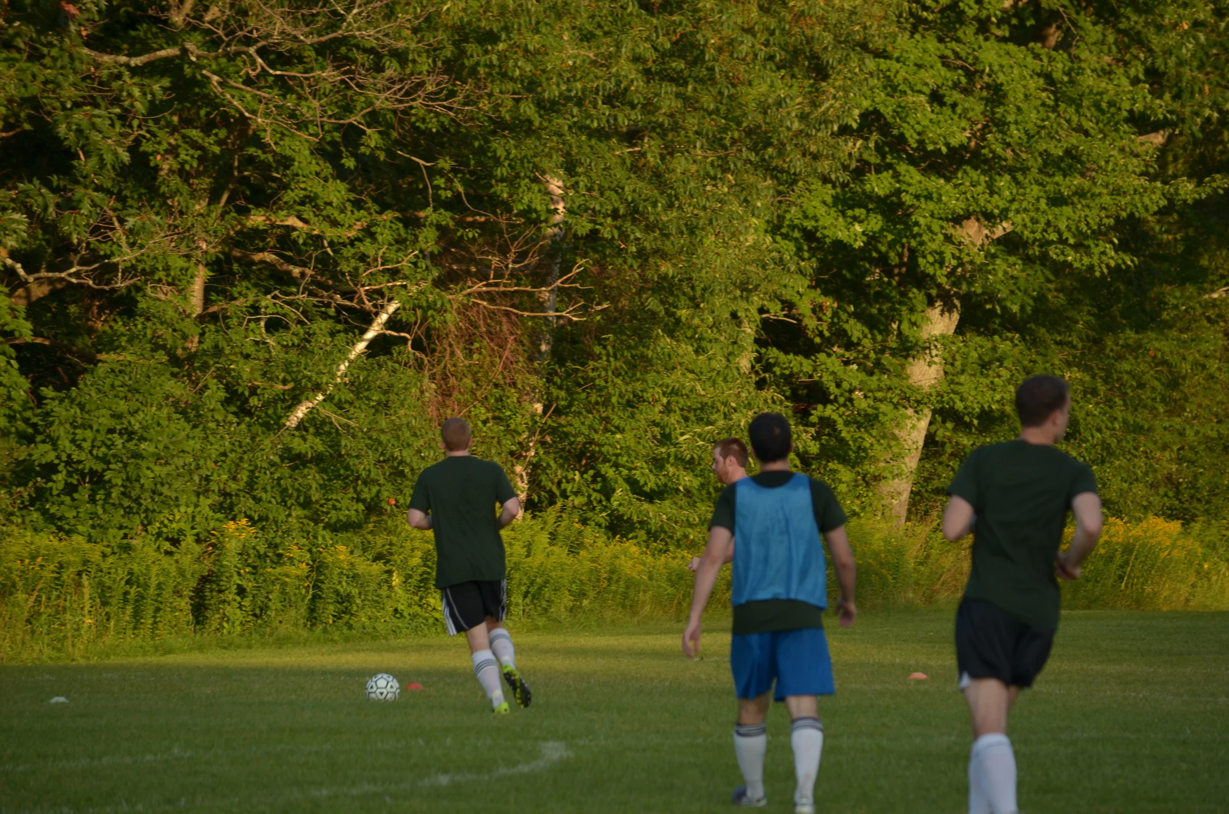 DSC_0353.JPG