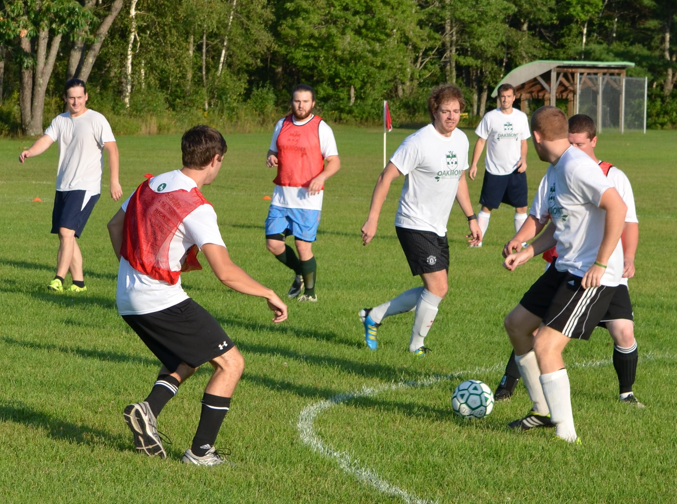 DSC_0082 take 58.JPG