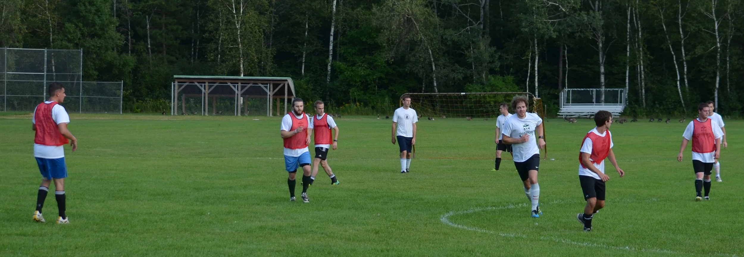DSC_0144 take 85.JPG