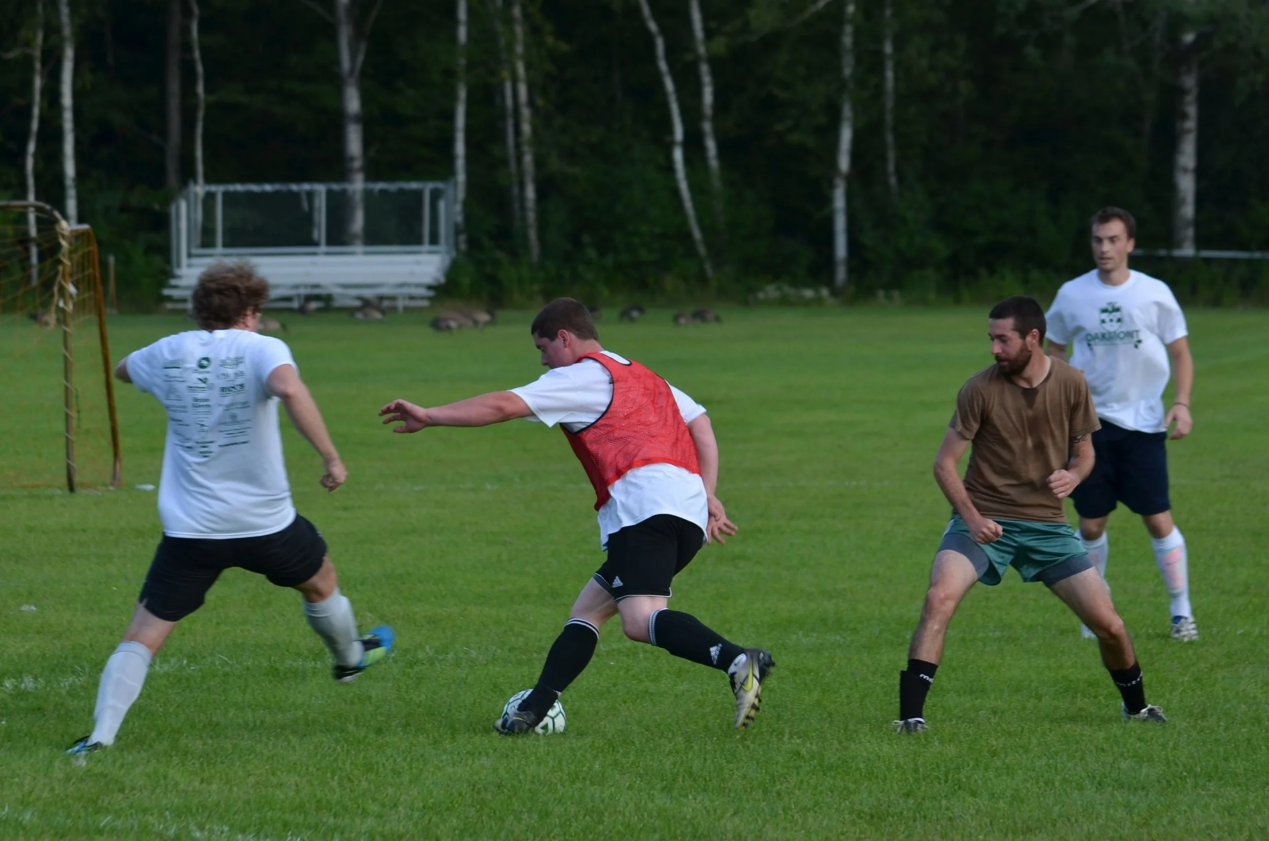 DSC_0145 take 86.JPG