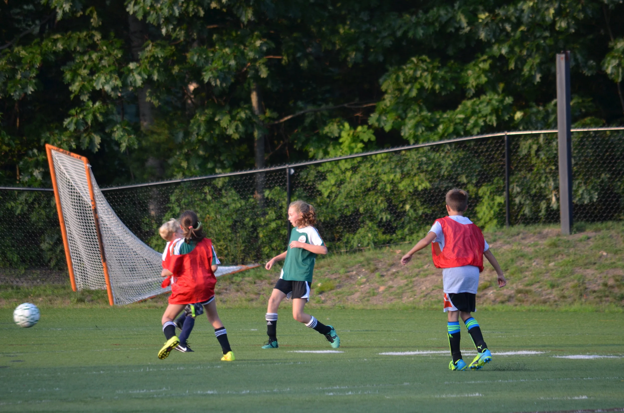 DSC_0264 take 158.JPG