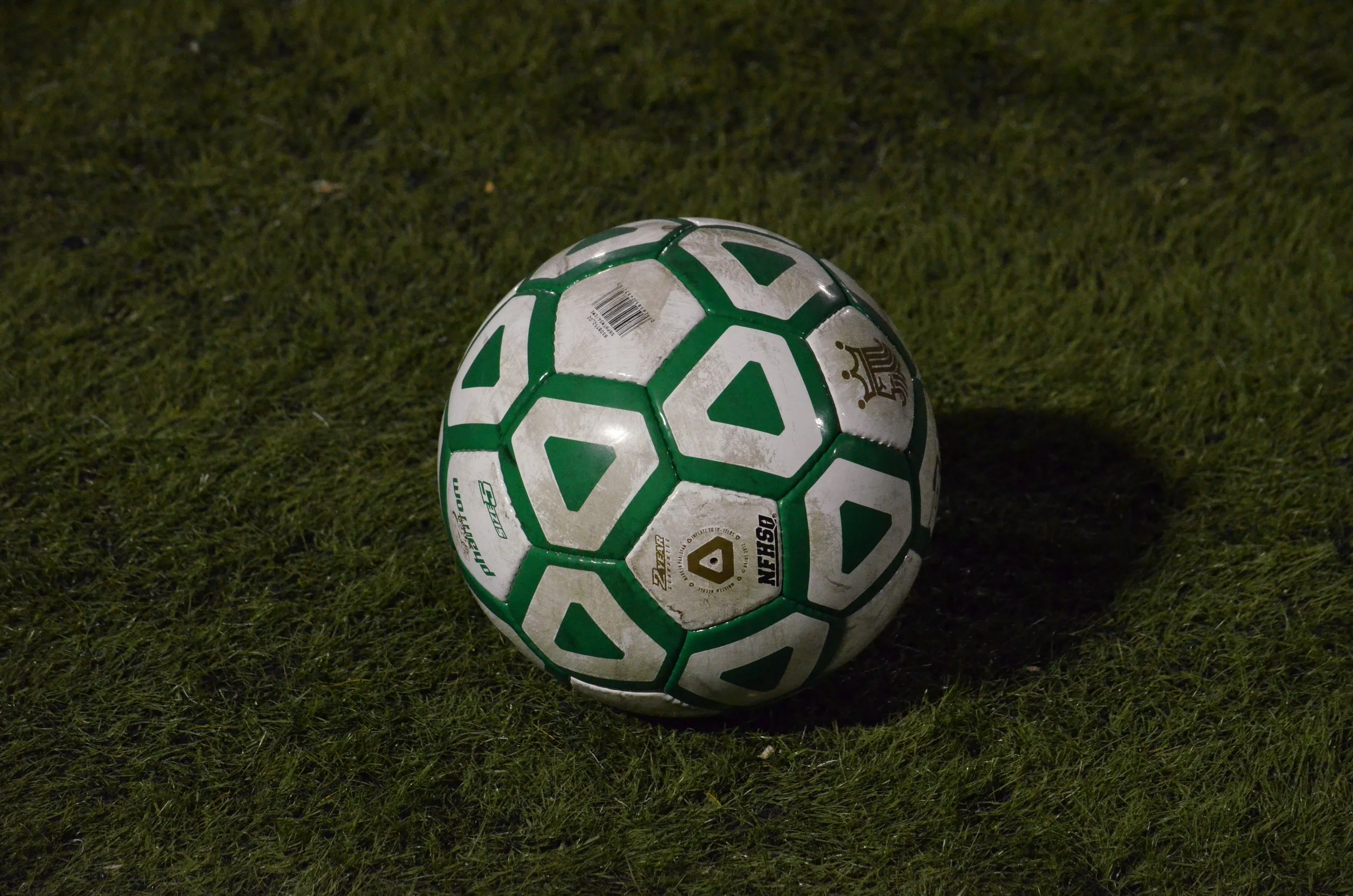 DSC_0704 take 417.JPG