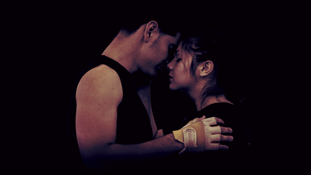 HCWG Promo 2014