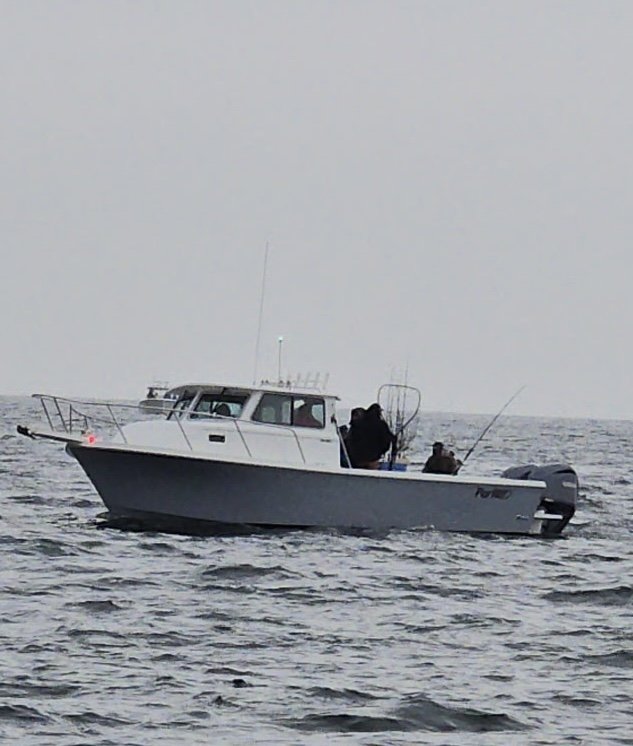 1752829475178403990 (1).jpg