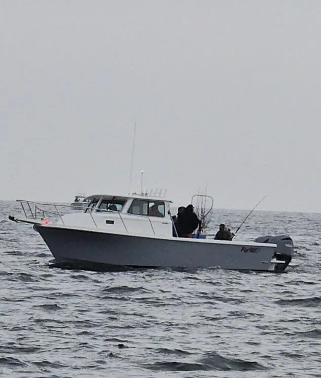 1752829475178403990 (1).jpg