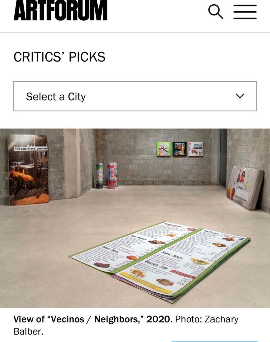    Artforum Critics’ Picks/ “Vecinos / Neighbors”/ Primary Projects Miami   