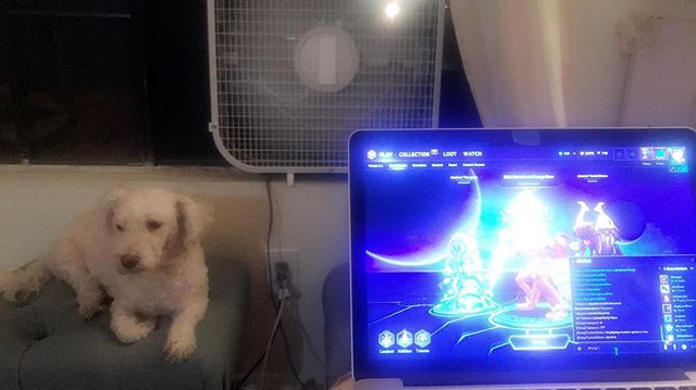 What are your favorite things when you&rsquo;re gaming? 1. My game 2. My dog 3. The Ac or Fan on