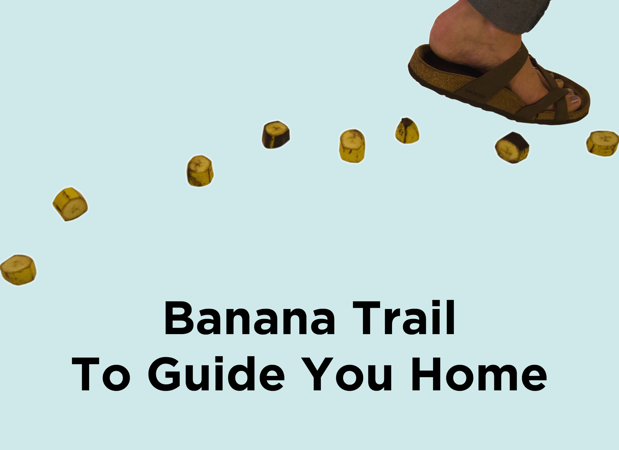 12. Banana Trail To Guide You Home.png