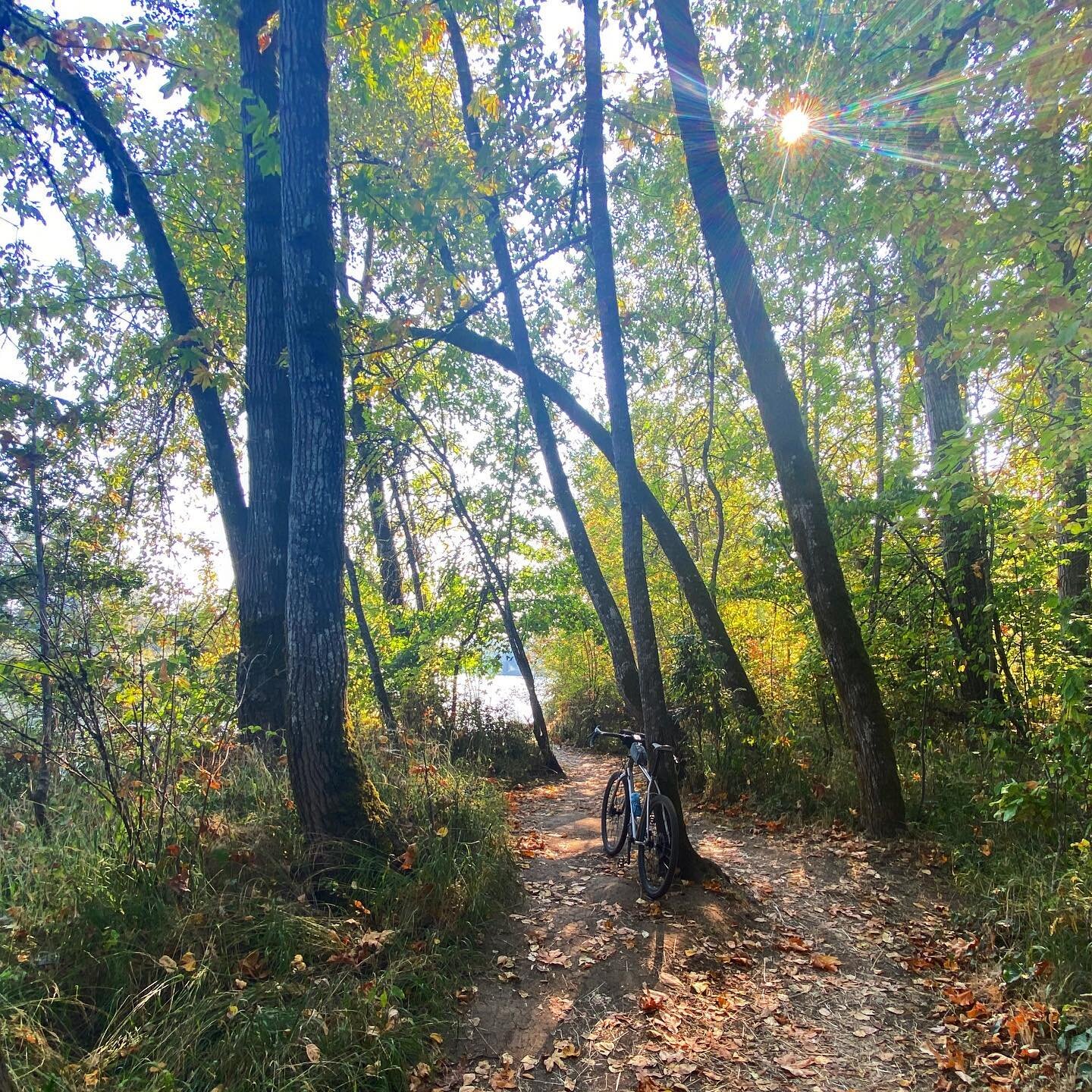 A few weeks into autumn, the weather is still warm, it&rsquo;s dry and the leaves are still on the trees. it&rsquo;s a perfect time for short rides exploring local trails, while I wait for the docs to decide on fixing my knackered knee. Not a bad day